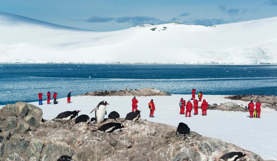 Group of people looking at a small colony of Gentoo Penguins sitting on a rock in the Antarctic.