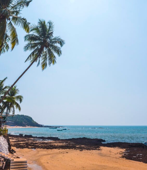 Tropical, sandy Anjuna Beach on the Goa coast, India